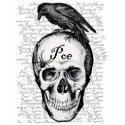 Raven Poe Shirt