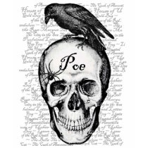 Raven Poe Shirt
