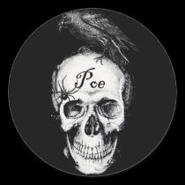 Raven Poe Sticker stickers