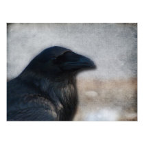 Raven Portrait
