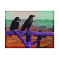 Raven Postcard by jamierushad Raven Postcard