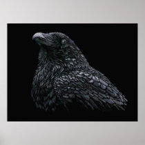 Raven Print