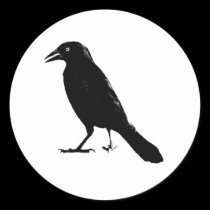 Raven stickers