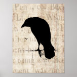 Raven Silhouette - Vintage Retro Ravens & Crows Print