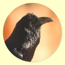 raven stickers