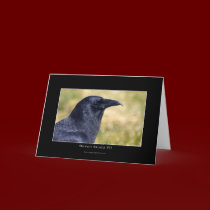 RAVEN STUDY Collection cards