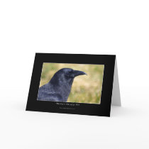 RAVEN STUDY Collection cards by RavenSpiritPrints RAVEN STUDY Collection cards