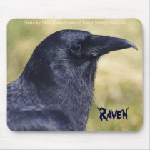 RAVEN STUDY Collection mousepads by RavenSpiritPrints RAVEN STUDY Collection mousepads