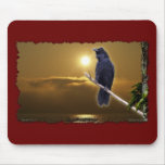 RAVEN SUNRISE Art Series
