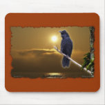RAVEN SUNRISE Art Series