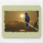 RAVEN SUNRISE Art Series