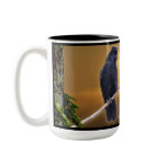 RAVEN SUNRISE Art Series