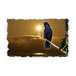 RAVEN SUNRISE Art Series