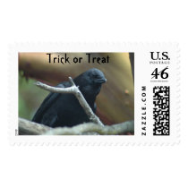 Raven Trick or Treat Stamp