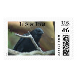 Raven Trick or Treat Stamp