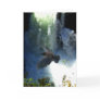 RAVEN & WATER FALL Nature Gifts Cards