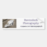 Ravendark Photography Bumper Stickers
