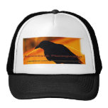 Ravendark Photography Hat