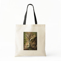 Ravenna Gorge, Black Forest, Baden, Germany rare P Tote Bags