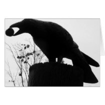 Raven's Bite, S Cyr cards