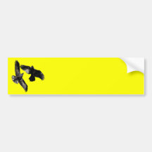 ravens bumper stickers