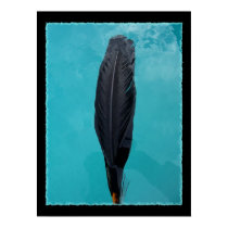 Raven's Feather posters