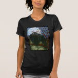 Raven's Moon Black Cat Crow Gothic Fantasy T-Shirt t-shirts