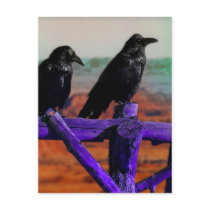 Ravens postcards by jamierushad Ravens postcards