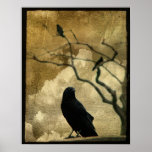 Ravens Posters