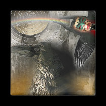 RAVENS RAINBOW magnets