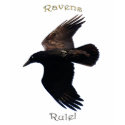 RAVENS RULE Long-sleeve Shirt