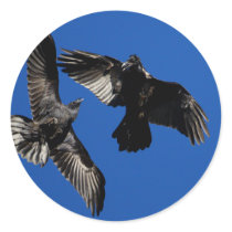 ravens stickers by WorldDesign ravens stickers