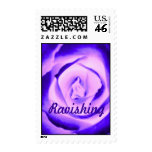 Ravishing - Purple Rose Postage