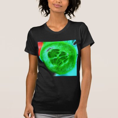 Raw food t-shirt