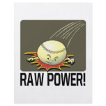 Raw Power flyers