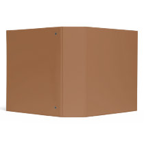 Raw Sienna Binder