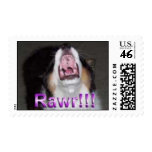 Rawr!!! Postage Stamp