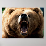 RAWR posters