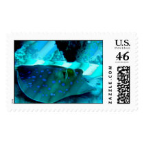 Ray in rays of light stamp