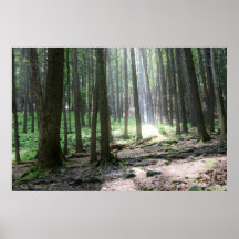 Ray of Hope 36 x 24 Poster
