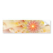 Raydianze AP-Cahm Bumper Sticker