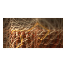 Raydianze AP-Ques Photo Cards