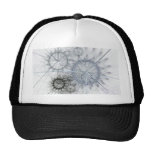 Raydianze AP-Tyme Hat