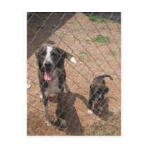 Raymond & Amy postcards