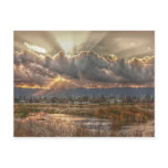 Rays at sunset Postcard