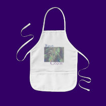 Rays of Color, digital abstract aprons