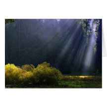 Rays of Light Card