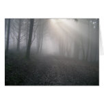 Rays Through Fog Cards