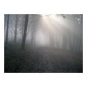 Rays Through Fog posters