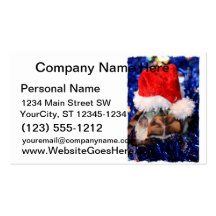 Razorbacked Musk Turtle, Santa Hat over head Business Card Templates
